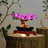 Lichtset für Bonsai Baum 10281