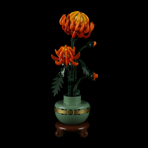 Beleuchtungsset für Chrysantheme 10368-Briksmax