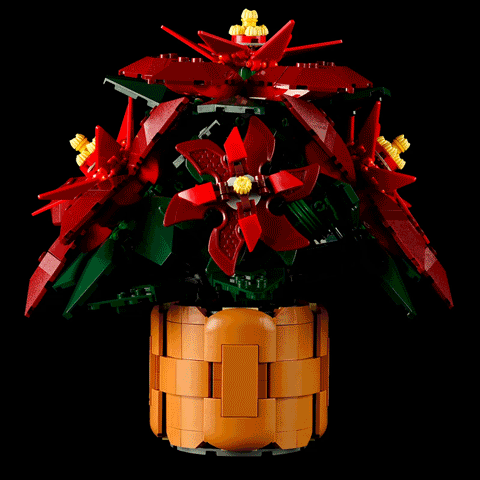 Beleuchtungsset für Weihnachtsstern 10370 -Briksmax