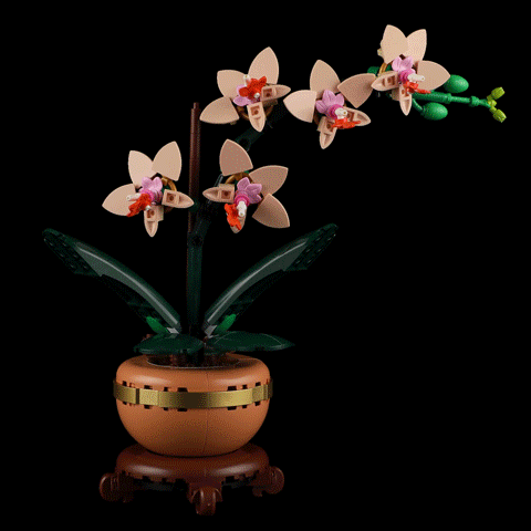 Beleuchtungsset für Mini-Orchideen 10343 - Briksmax 2.0