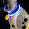 Briksmax 2.0 Light Kit For 101 Dalmatians Puppy