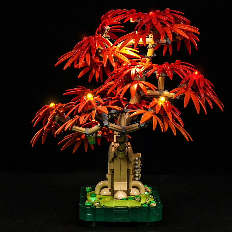 Briksmax 2.0 Light Kit For Japanese Red Maple Bonsai Treer
