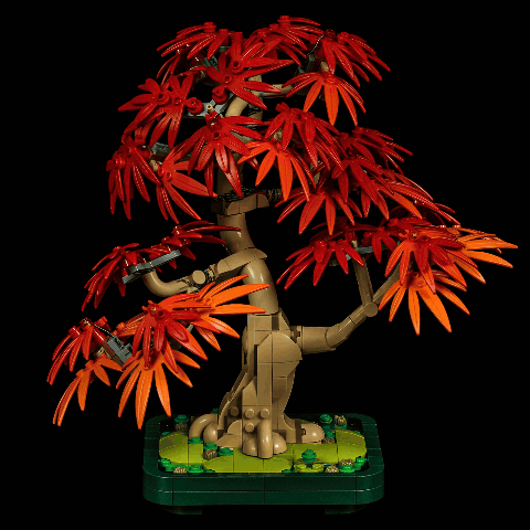 Briksmax 2.0 Light Kit For Japanese Red Maple Bonsai Treer