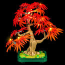 Briksmax 2.0 Light Kit For Japanese Red Maple Bonsai Treer