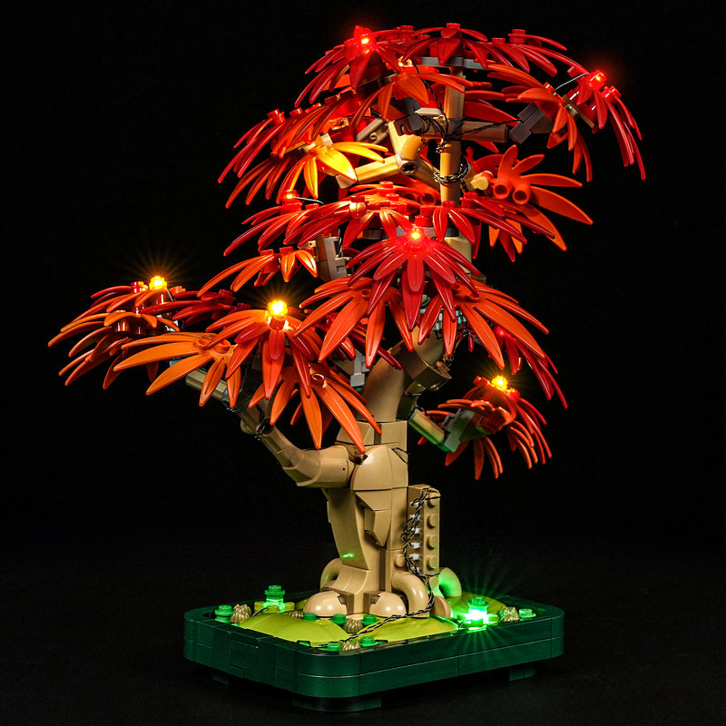 Briksmax 2.0 Light Kit For Japanese Red Maple Bonsai Treer