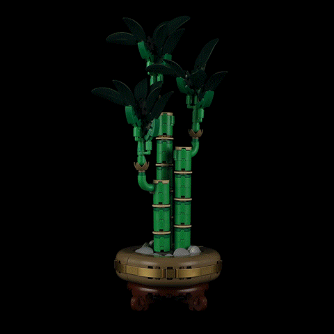 Beleuchtungsset für Lucky Bamboo 10344-Lightailing
