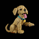 Light Kit for Golden Retriever Puppy 11384- Lightailing