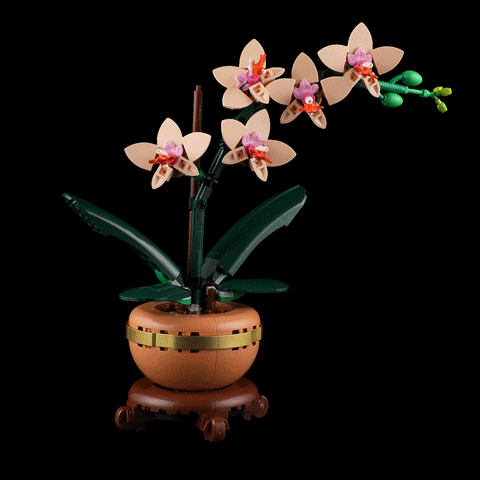 Lightailing Light Kit For LEGO Mini Orchid 10343 - 2