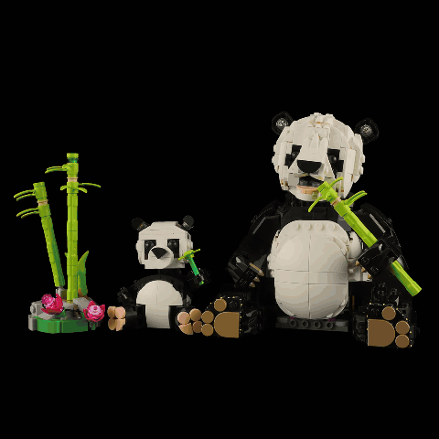 Beleuchtungsset für Wildtiere: Panda-Familie 31165—Lightailing