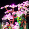Light Kit For LEGO Tranquil Garden 10315-Lightailing