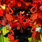 Light Kit For Family Tree 21346-Lightailing