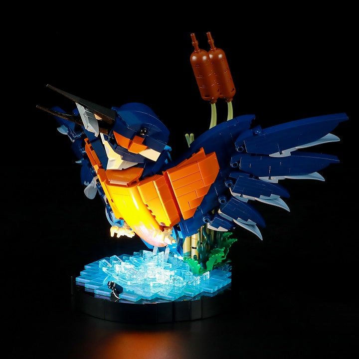 Light Kit For Kingfisher Bird 10331-Lightailing