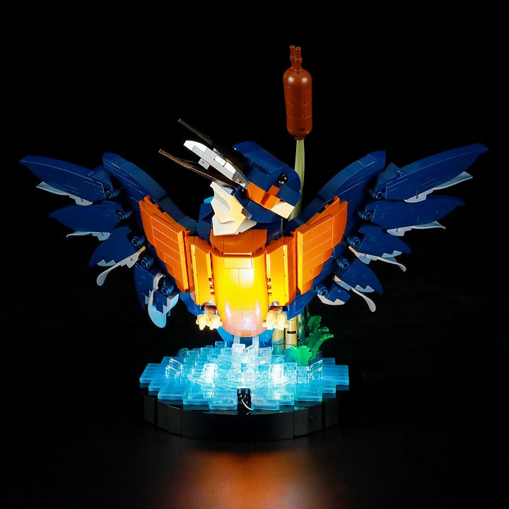 Light Kit For Kingfisher Bird 10331-Lightailing