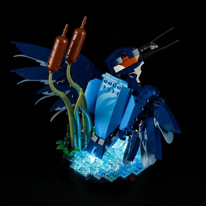 Light Kit For Kingfisher Bird 10331-Lightailing