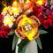 Light Kit For Flower Bouquet 10280-Lightailing