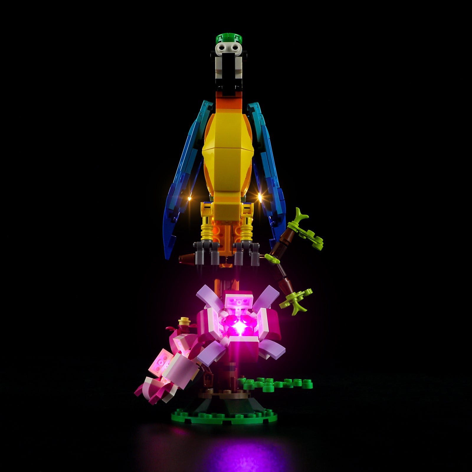 Lichtset für exotischen Papagei 31136 - Lightailing