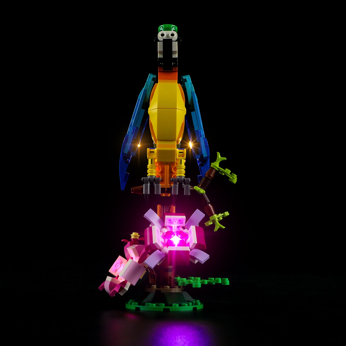Lichtset für exotischen Papagei 31136 - Lightailing