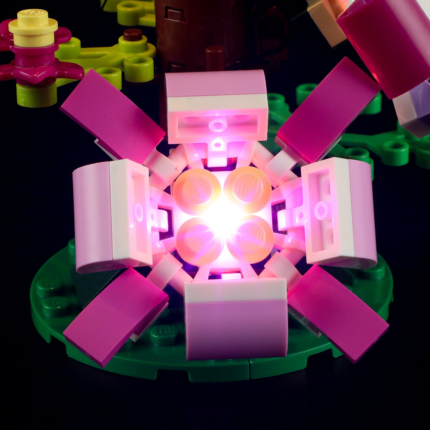 Lichtset für exotischen Papagei 31136 - Lightailing