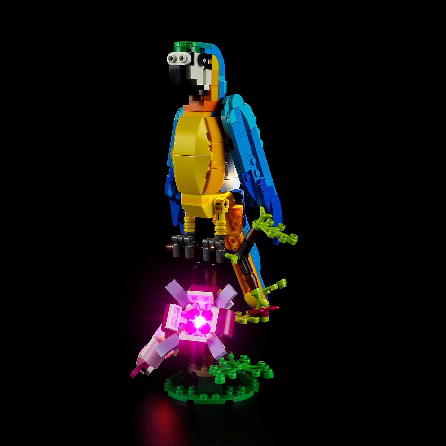 Lichtset für exotischen Papagei 31136 - Lightailing
