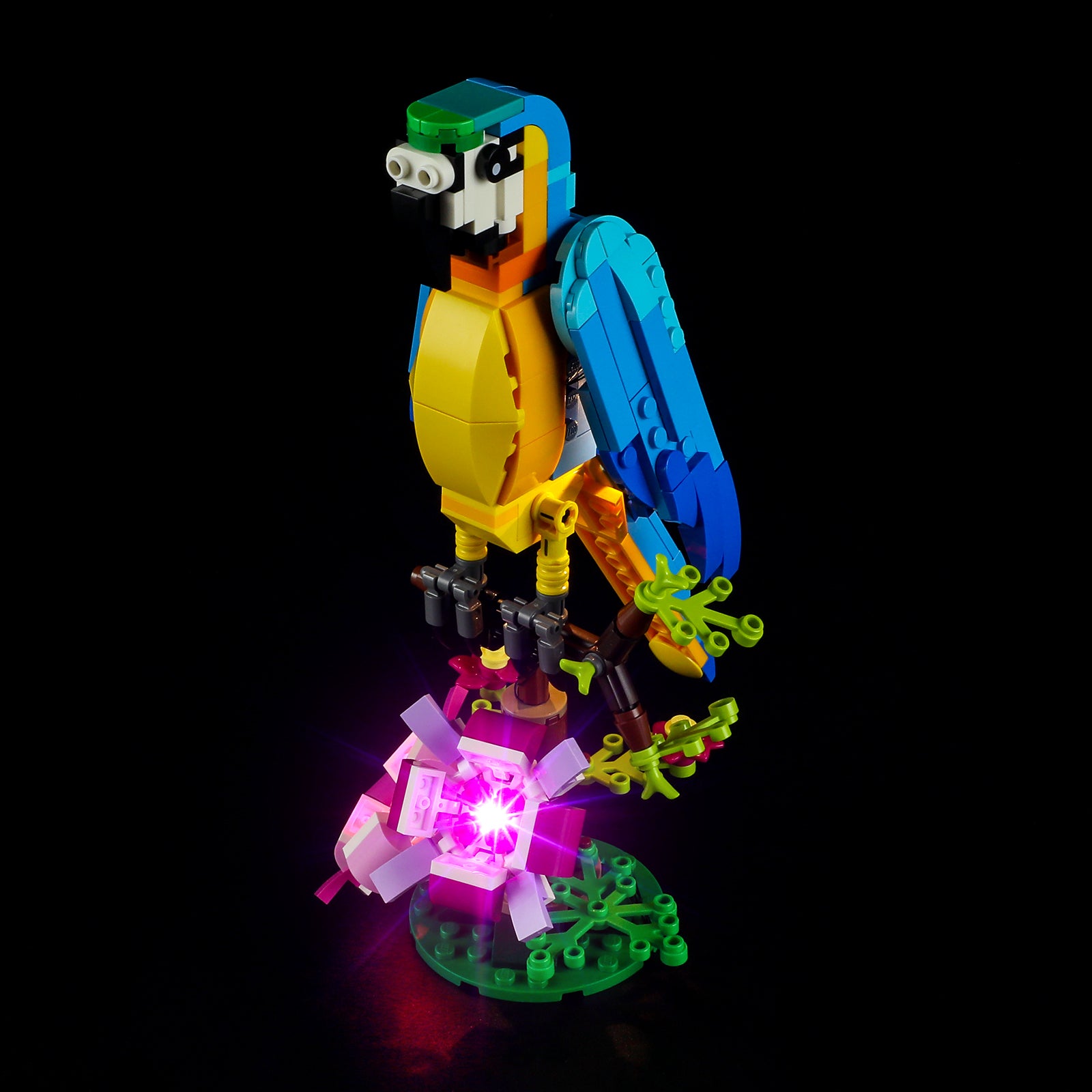 Lichtset für exotischen Papagei 31136 - Lightailing
