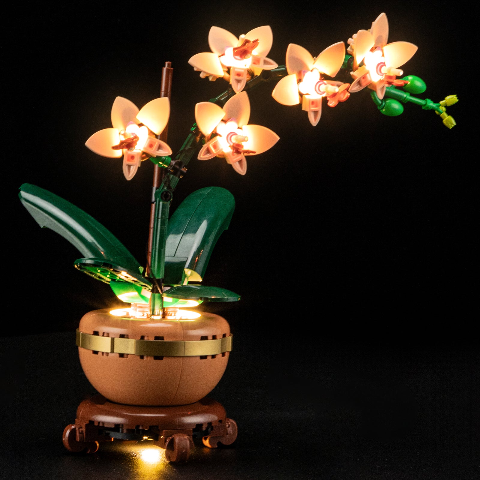 Lightailing Light Kit For Mini Orchid 10343-3