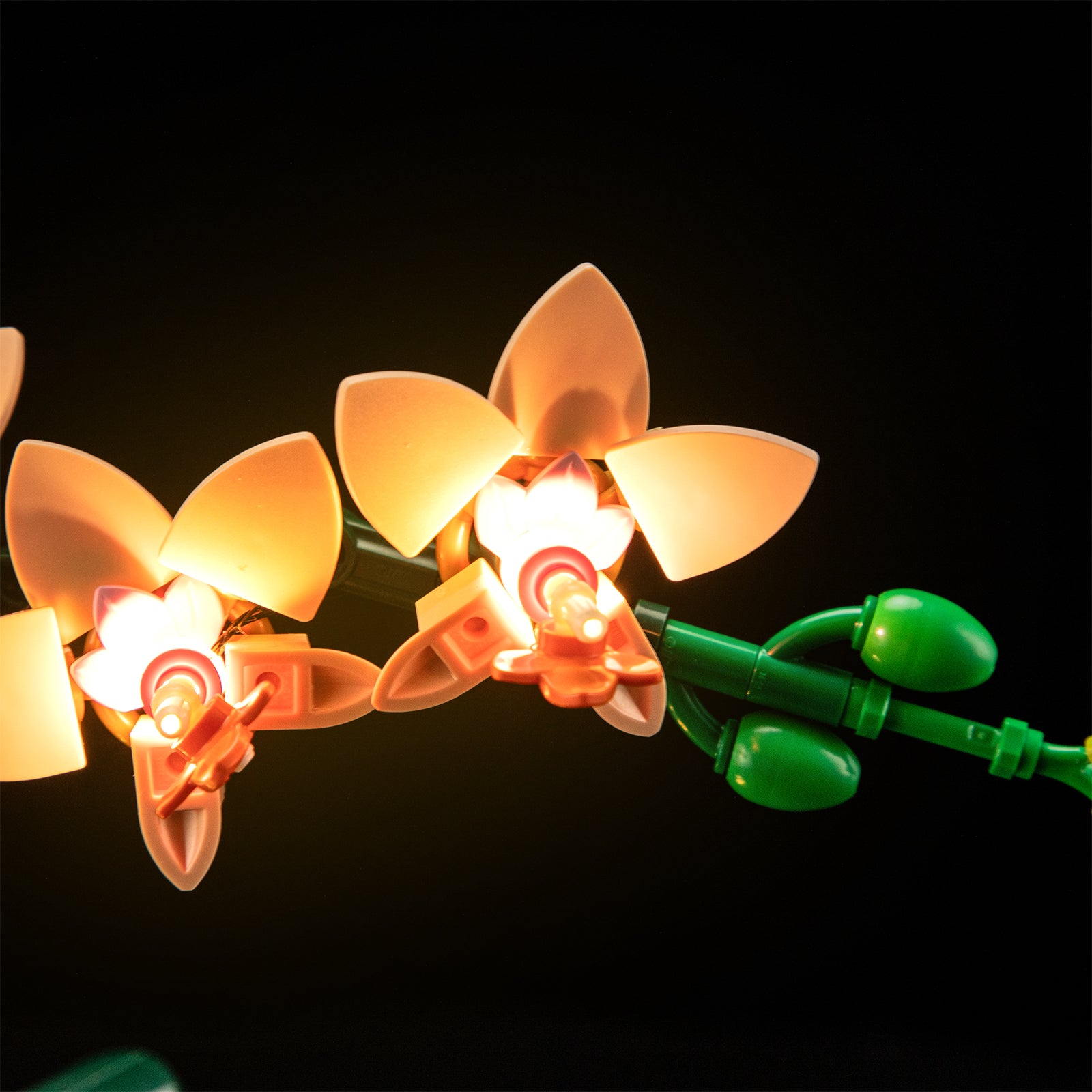 Lightailing Light Kit For Mini Orchid 10343-9