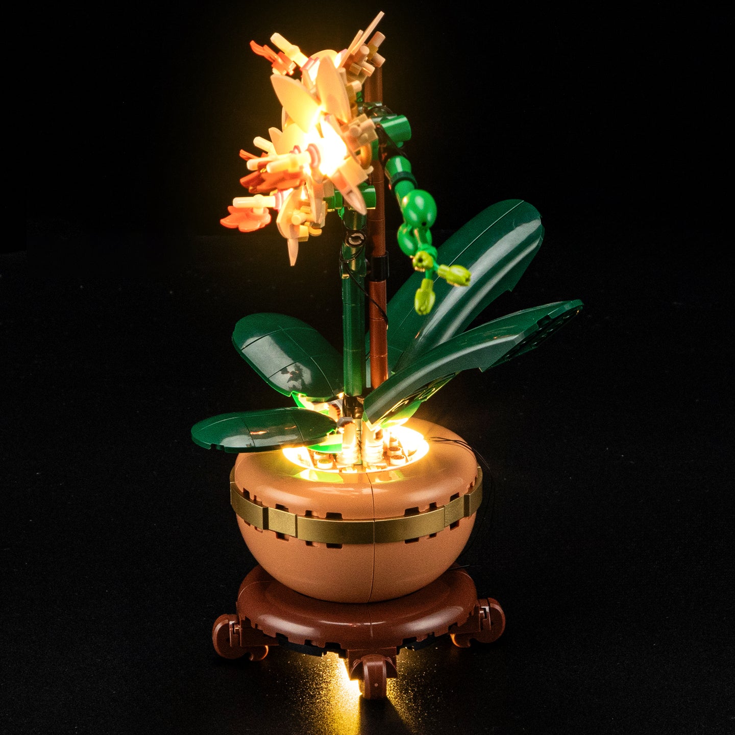 Lightailing Light Kit For Mini Orchid 10343-4