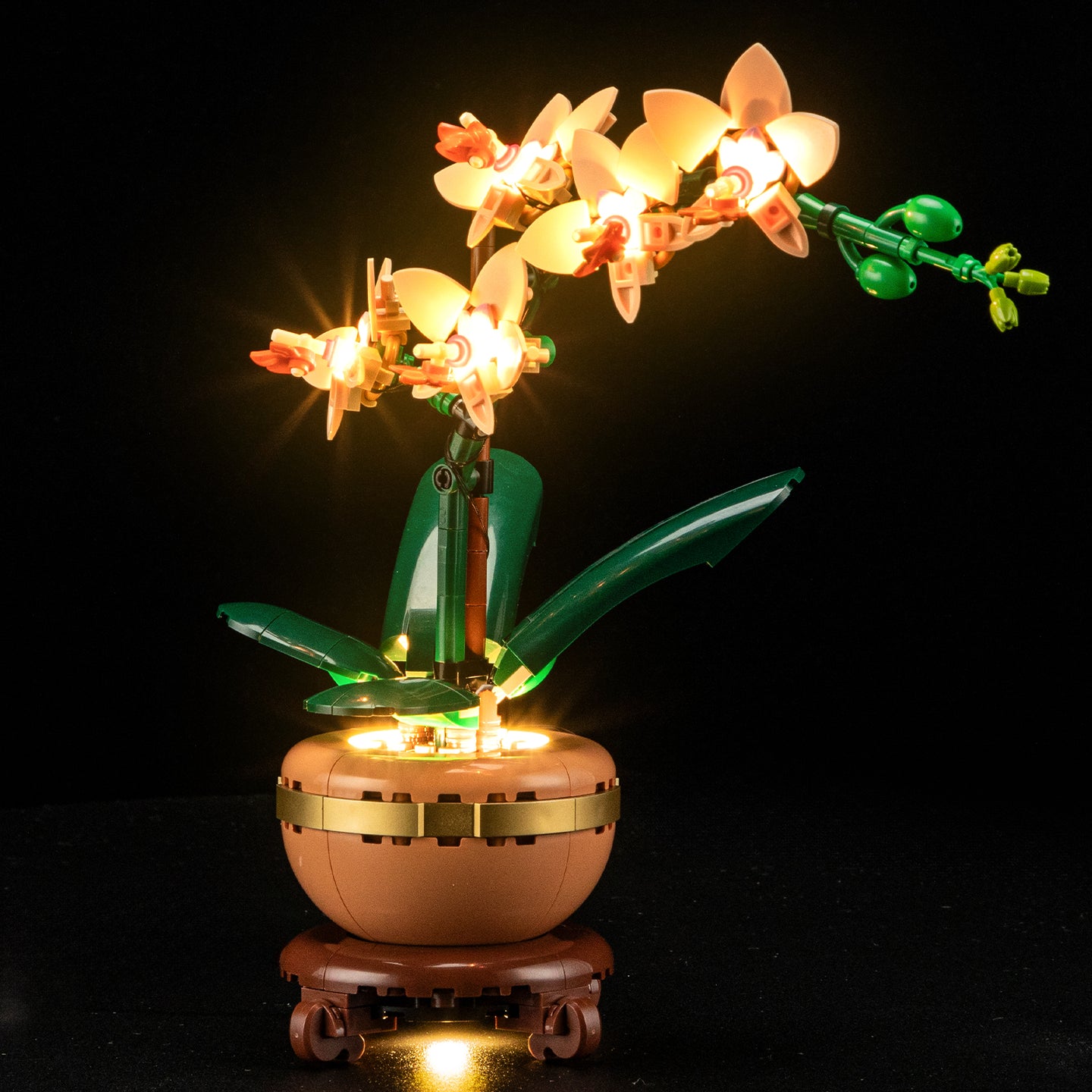 Lightailing Light Kit For Mini Orchid 10343-5