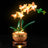 Lightailing Light Kit For Mini Orchid 10343-5
