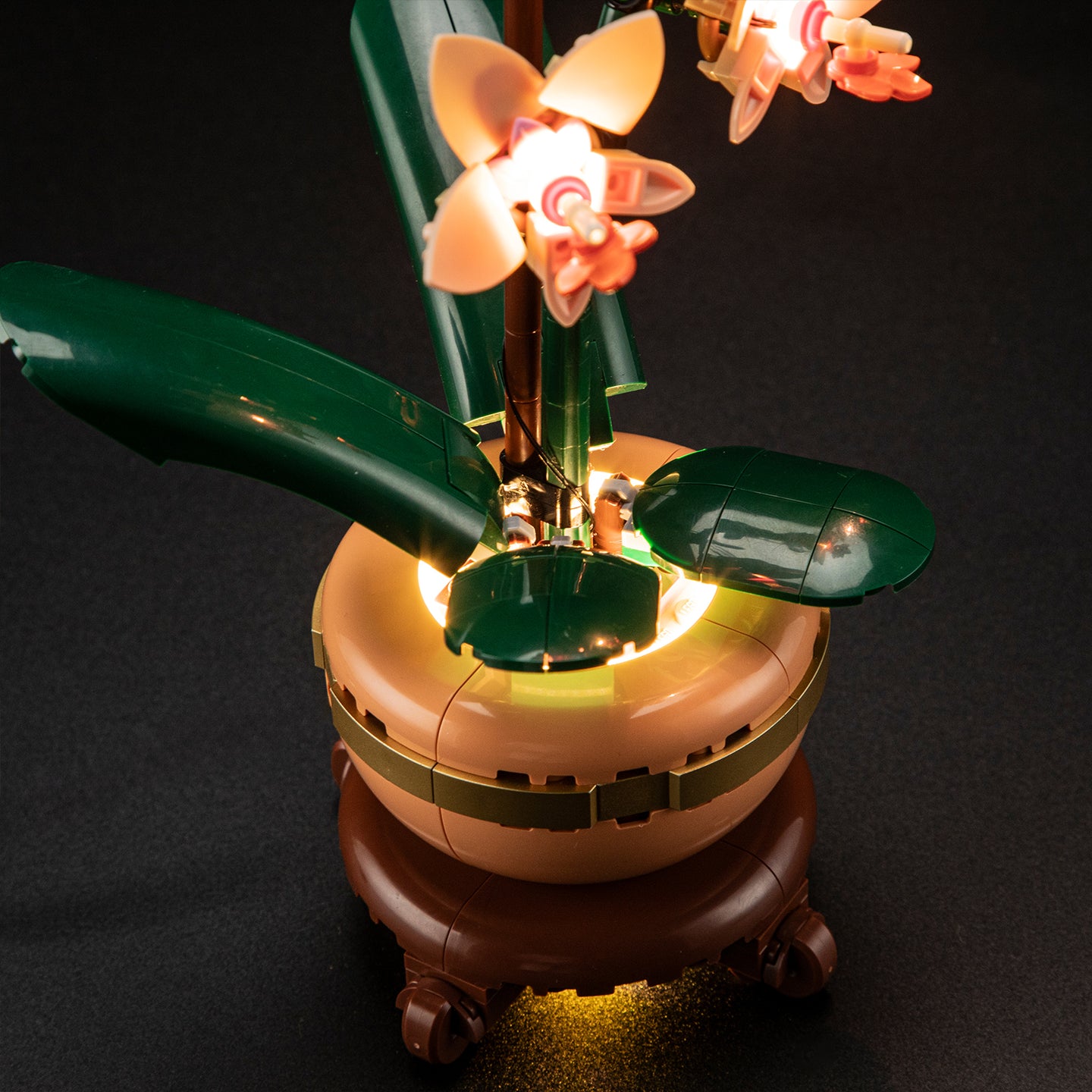 Lightailing Light Kit For Mini Orchid 10343-6