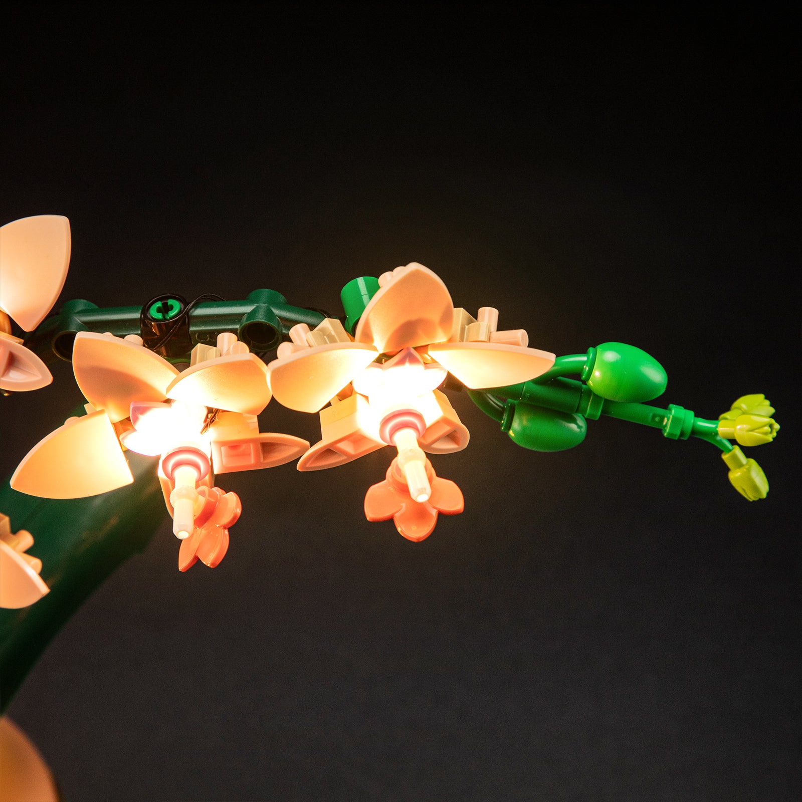 Lightailing Light Kit For Mini Orchid 10343-10