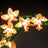 Lightailing Light Kit For Mini Orchid 10343-11