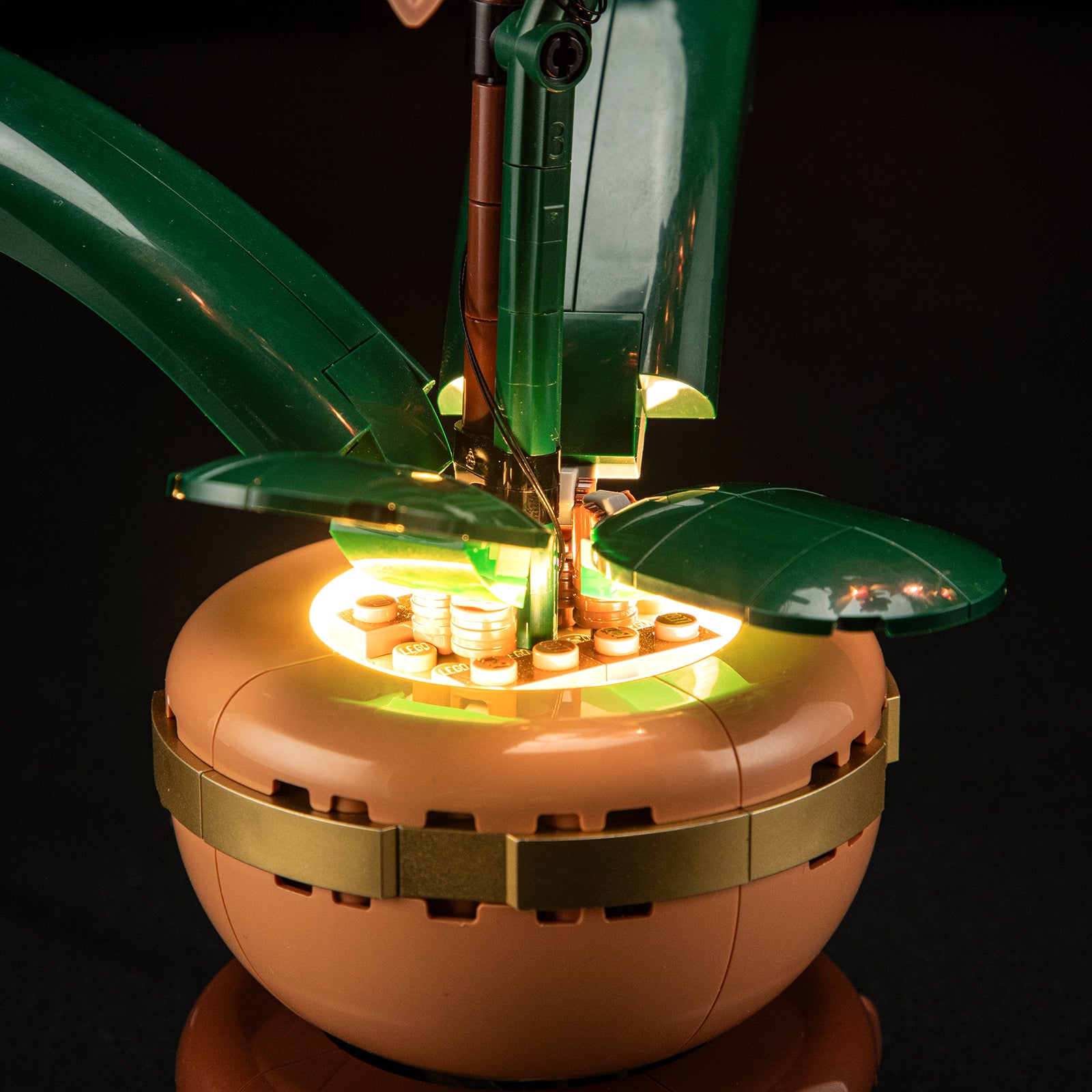 Lightailing Light Kit For Mini Orchid 10343-7