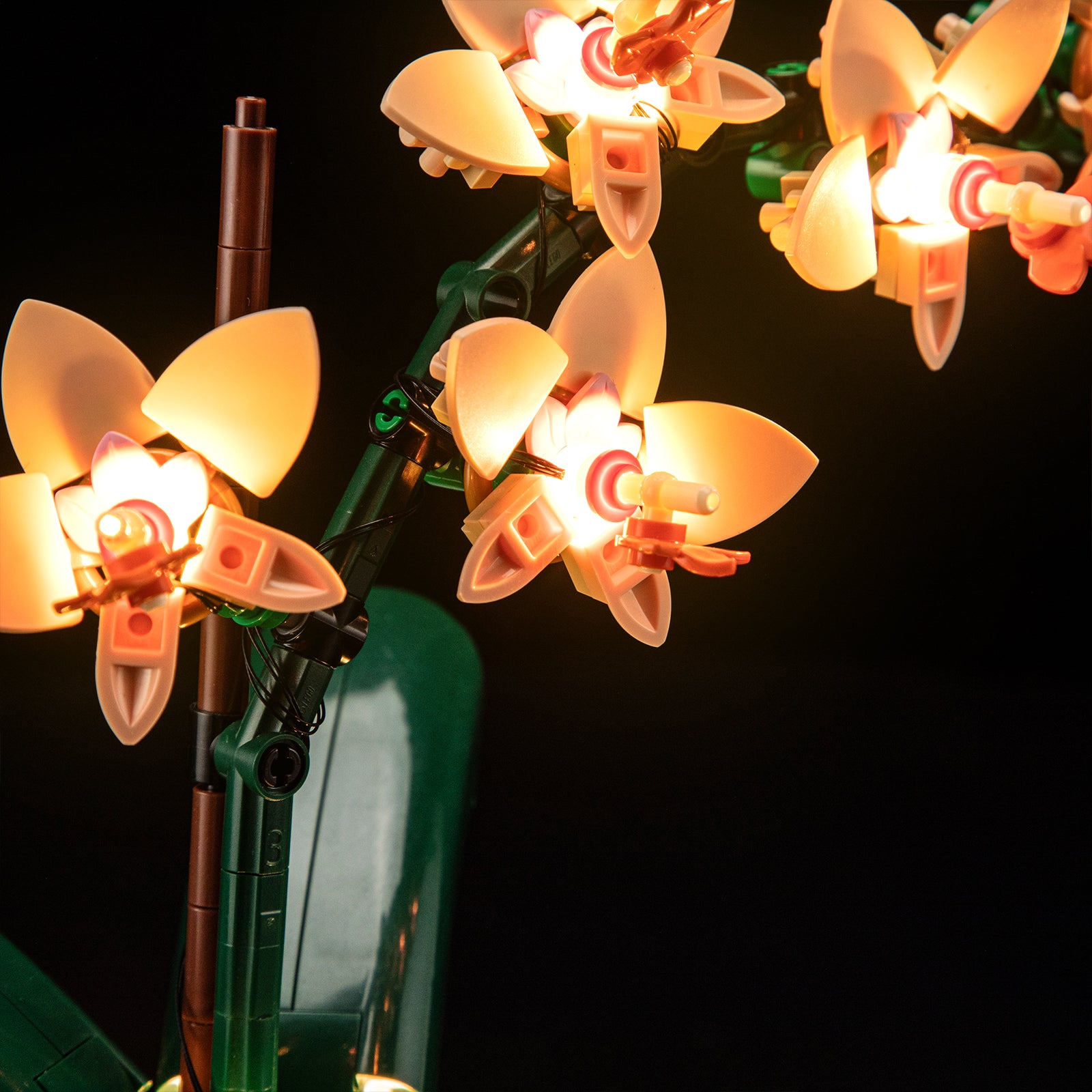 Lightailing Light Kit For Mini Orchid 10343-8