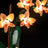 Lightailing Light Kit For Mini Orchid 10343-8