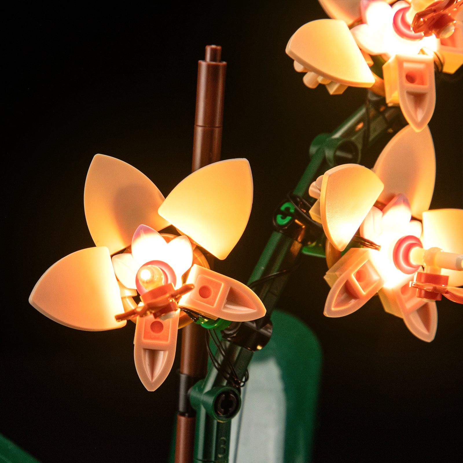 Lightailing Light Kit For Mini Orchid 10343-12