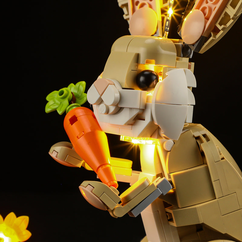 Light Kit For Cute Bunny