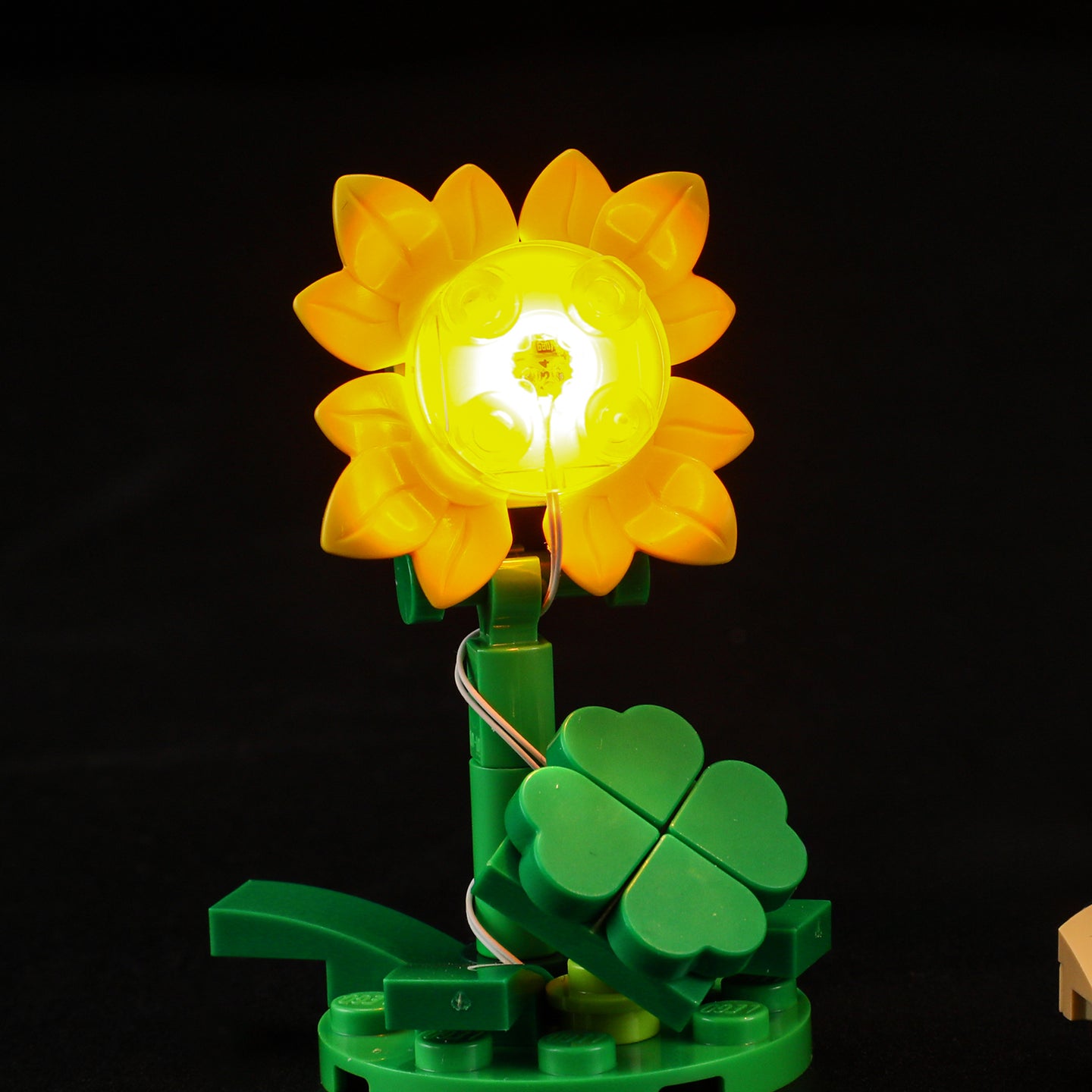 Beleuchtungsset für niedlichen Hasen 31162-Lightailing