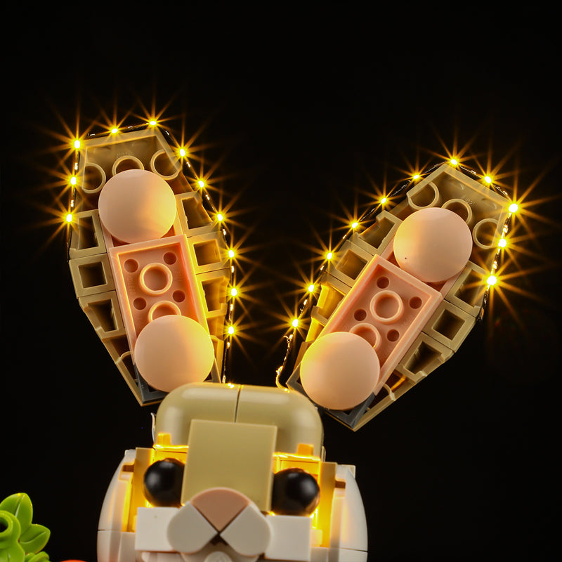 Light Kit For Cute Bunny