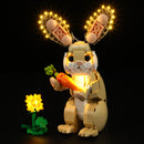 Light Kit For Cute Bunny