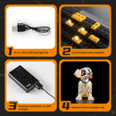 Light Kit For 101 Dalmatians Puppy