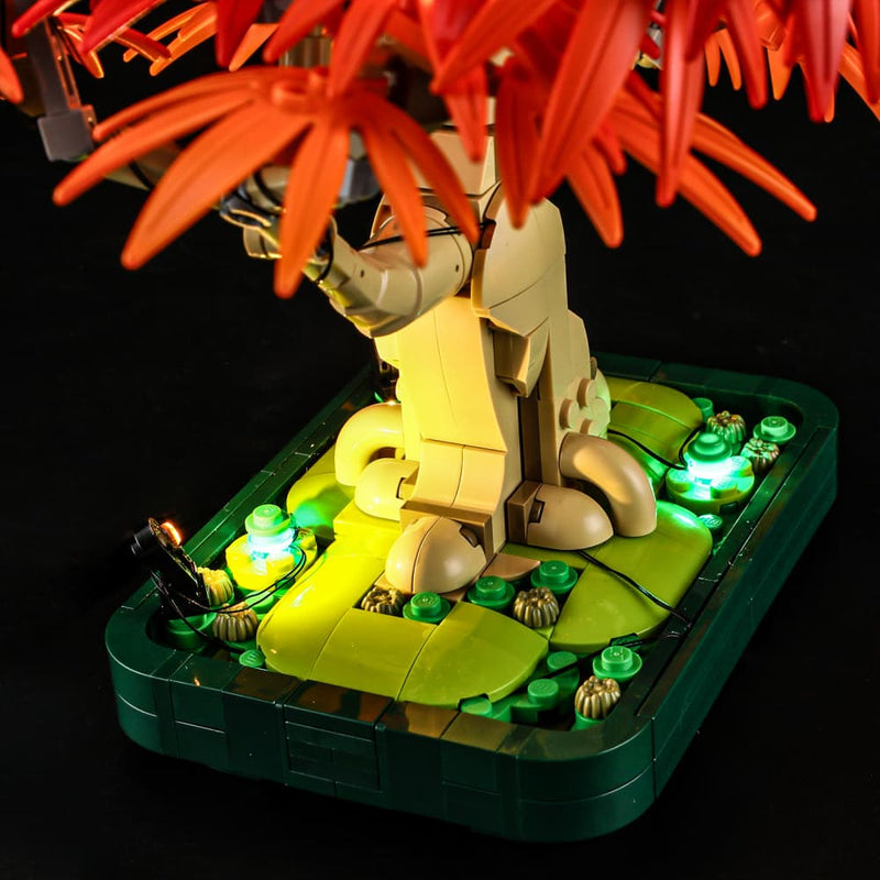 Light Kit For Japanese Red Maple Bonsai Treer