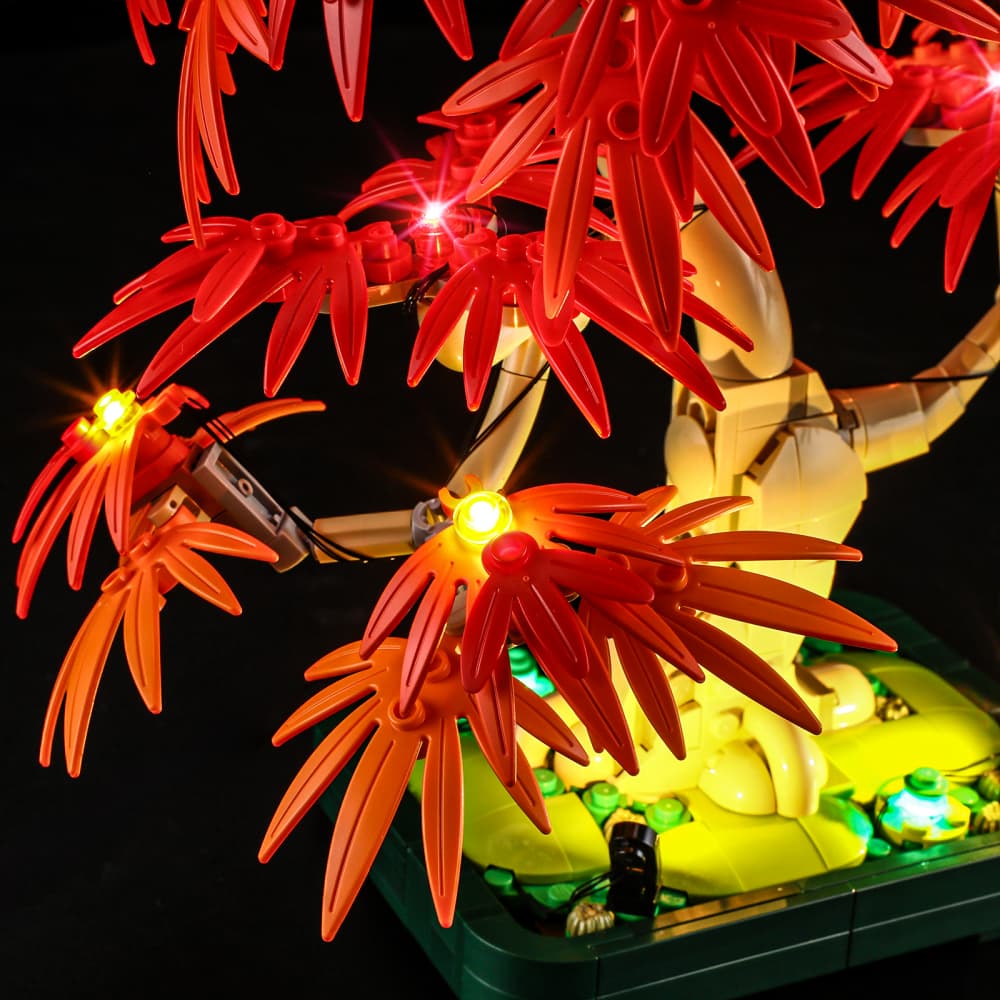 Lightailing Light Kit For Japanese Red Maple Bonsai Tree #10348-7