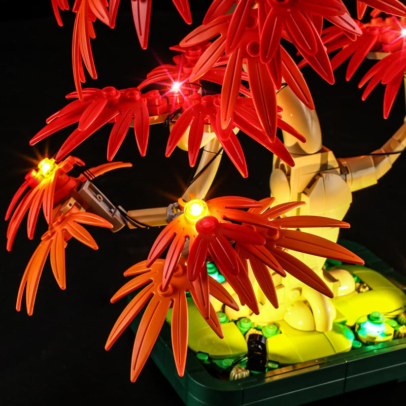 Light Kit For Japanese Red Maple Bonsai Treer