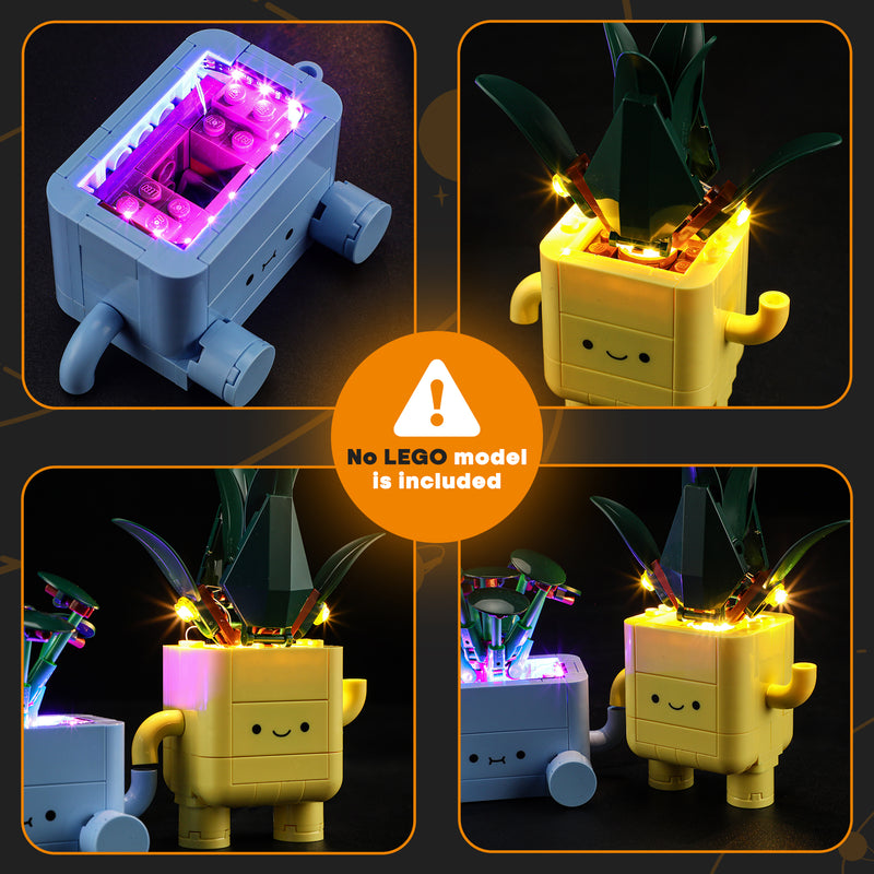 Lightailing Light Kit For LEGO Happy Plants