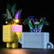 Lightailing Light Kit For LEGO Happy Plants