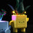 Lightailing Light Kit For LEGO Happy Plants #10349-7
