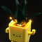 Lightailing Light Kit For LEGO Happy Plants