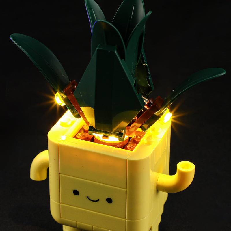 Lightailing Light Kit For LEGO Happy Plants