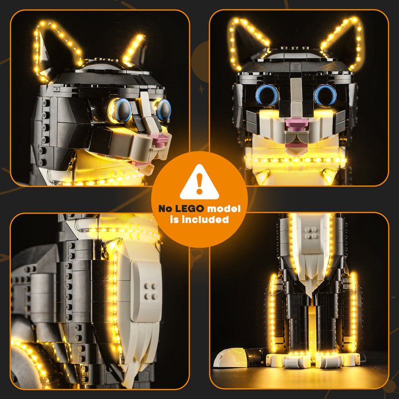 Lightailing Light Kit For Tuxedo Cat 21349-15